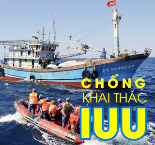 Chống khai thác IUU